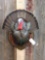 Half Body Turkey Taxidermy Mount