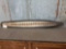 Big Rattlesnake Skin Taxidermy