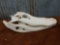 Alligator Skull Taxidermy