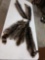 5 Soft Tanned Raccoon Furs Taxidermy