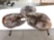 3 Soft Tanned Beaver Furs Taxidermy