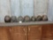 7 Snapping Turtle Shells