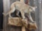 Nice Mountain Lion Full Body Taxidermy
