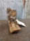 Nice Grey Squirrel Full Body Taxidermy