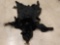 Tanned Black Bear Skin Taxidermy