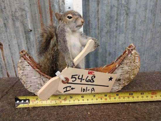 Squirrel In A Birch Bark Canoe