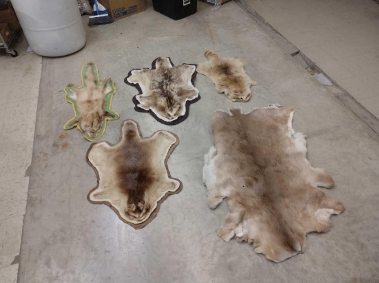 Rug & Tanned Fur Lot Taxidermy