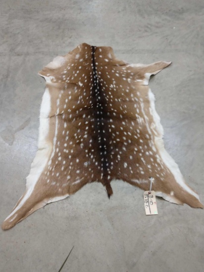 Axis Deer Soft Tanned Skin Taxidermy