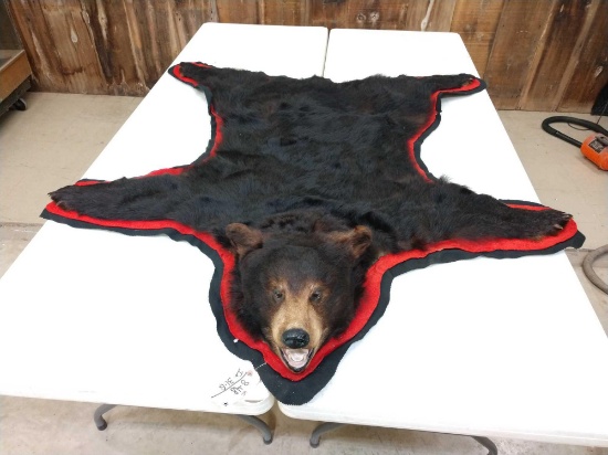 Black Bear Rug Taxidermy