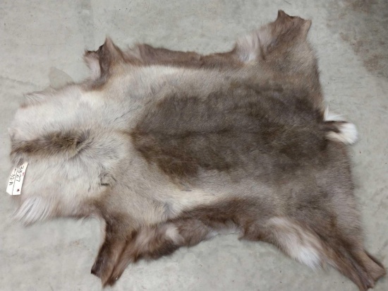 Soft Tanned Caribou Skin