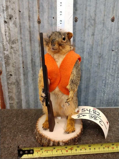 Hunting Squirrel Full Body Taxidermy Mount