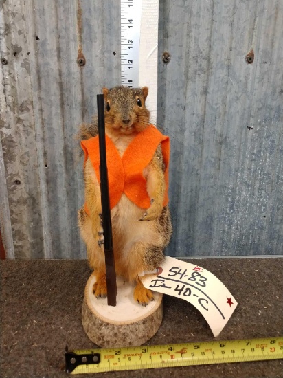 Hunting Squirrel Full Body Taxidermy Mount