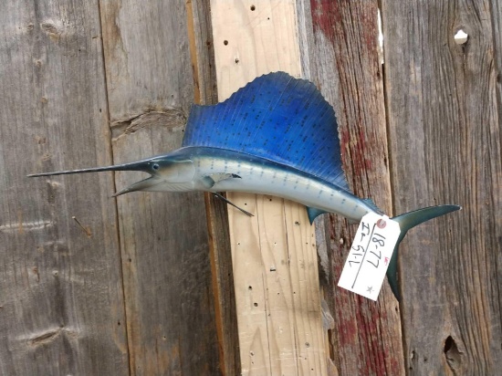 Miniature Sail Fish Reproduction Taxidermy