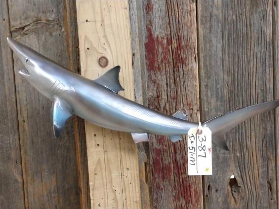29" Sand Shark Reproduction Fish Taxidermy