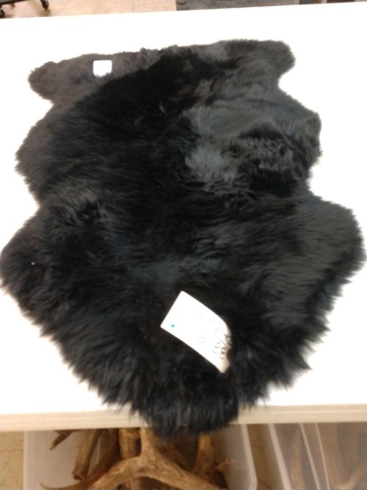 Tanned & Dyed Sheep Skin Taxidermy