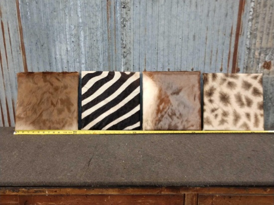 4 African Skin Accent Pieces Taxidermy