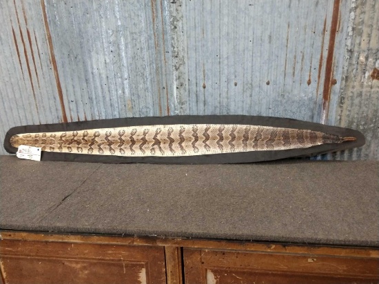 Big Rattlesnake Skin Taxidermy