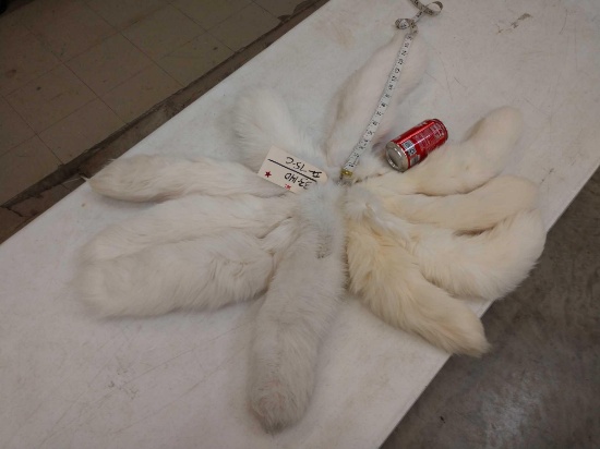10 Jumbo White Fox Tails