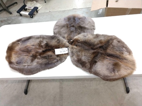 3 Soft Tanned Beaver Furs Taxidermy