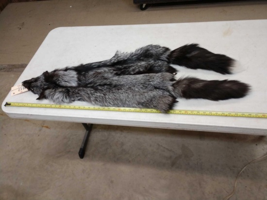 2 Soft Tanned Silver Ranch Fox Fur Taxidermy