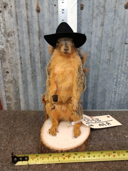 Cowboy Sheriff Squirrel Full Body Taxidermy Mount