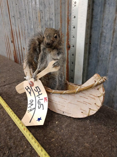 Squirrel In A Birch Bark Canoe