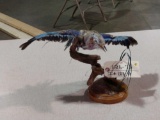 African Roller Bird Taxidermy Mount
