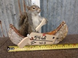 Squirrel In A Birch Bark Canoe