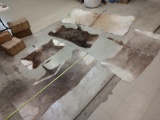 5 Tanned African Back Skins Taxidermy
