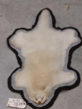 Albino Raccoon Rug Taxidermy