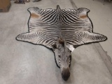 Zebra Rug Taxidermy