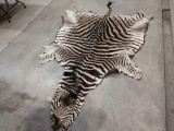 Soft Tanned Zebra Skin Taxidermy