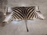 Zebra Back Skin Taxidermy