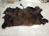 American Bison Buffalo Tanned Back Hide Taxidermy