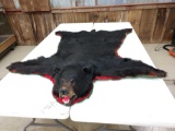 Black Bear Rug Taxidermy