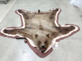 Nice Grizzly Bear Rug Taxidermy