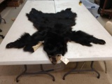 Tanned Black Bear Skin Taxidermy