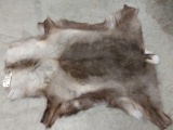 Soft Tanned Caribou Skin