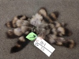 10 Raccoon Tails Taxidermy