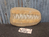 Mosasaur ( Dinosaur ) Teeth In Matrix