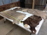 4 Tanned African Back Skins