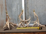 3 Whitetail Antler Desk Lamps
