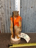 Hunting Squirrel Full Body Taxidermy Mount