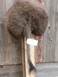 Buffalo Bison Rump Taxidermy