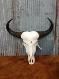 African Cape Buffalo Cow Skull Taxidermy