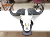 Reproduction Cape Buffalo Skull