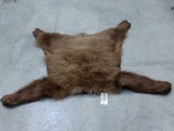 Black Bear Rug Taxidermy