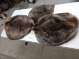 3 Soft Tanned Beaver Furs Taxidermy