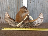 Muskrat In A Birch Bark Canoe Taxidermy