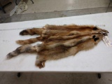 3 Soft Tanned Red Fox Furs